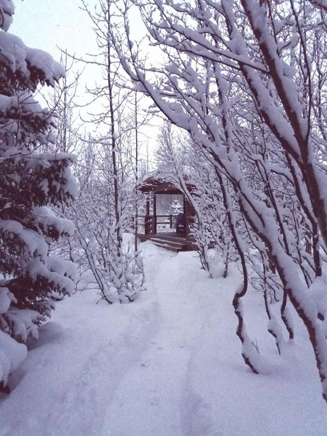 Bakkakot 1 - Cozy Cabins In The Woods อาคูเรย์รี ภายนอก รูปภาพ